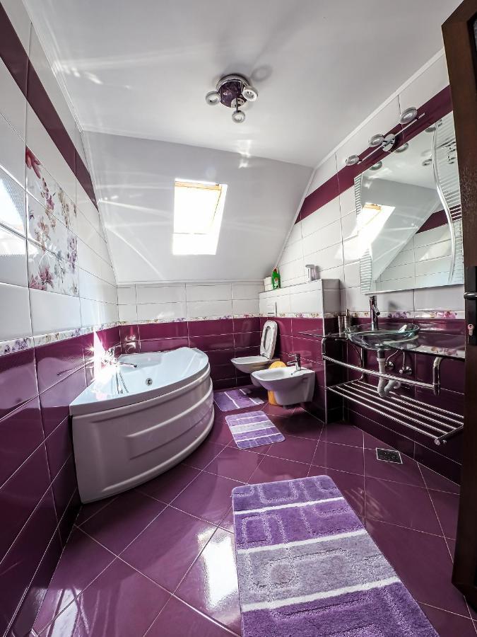Casa Iulia Villa Pojorîta Eksteriør billede